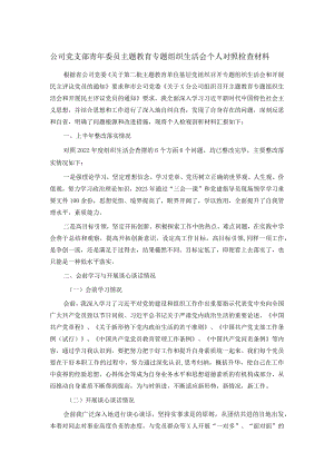 公司党支部青年委员主题教育专题组织生活会个人对照检查材料.docx