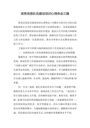 政务信息队伍建设培训心得体会三篇.docx