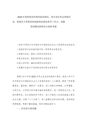 2024年度检视党性修养提高情况看自身在坚定理想信念检视学习贯彻党的创新理论情况看学了多少问题原因整改材料发言材料多篇.docx