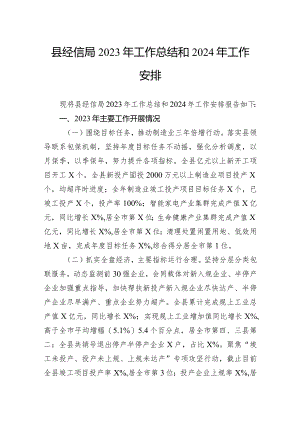 县经信局2023年工作总结和2024年工作安排.docx