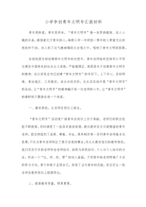 小学争创青年文明号汇报材料.docx