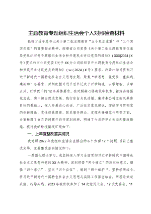 公司党支部纪检委员主题教育专题组织生活会个人对照检查材料.docx