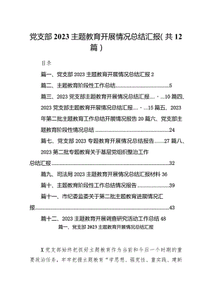 党支部专题教育开展情况总结汇报范文精选(12篇).docx