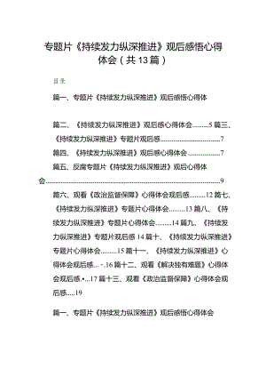 2024专题片《持续发力纵深推进》观后感悟心得体会13篇（精选版）.docx