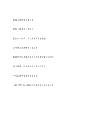 单位党组党委2024年第二批专题教育开展成效自查评估报告8篇.docx