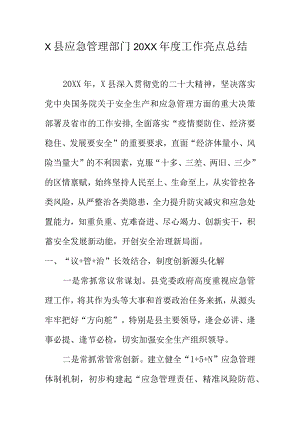 X县应急管理部门20XX年度工作亮点总结.docx