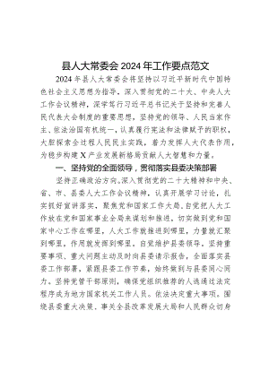 2024年工作要点计划.docx