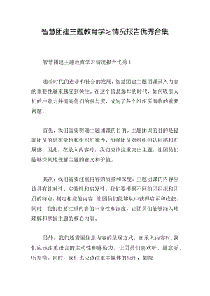 智慧团建主题教育学习情况报告优秀合集.docx