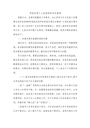 学校纪委个人检查剖析发言提纲.docx