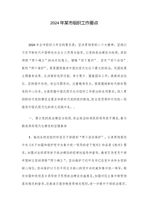 2024年某市组织工作要点.docx