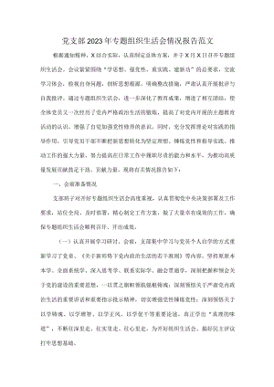 党支部2023年专题组织生活会情况报告范文.docx
