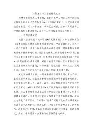 反馈意见个人检查检视发言.docx