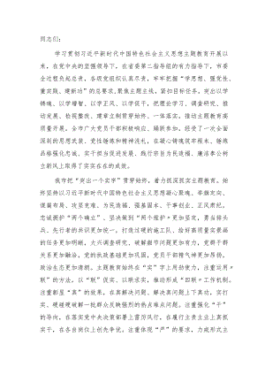 市领导在主题教育总结会议上的讲话3100字.docx