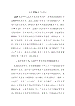 协会2024年工作要点.docx