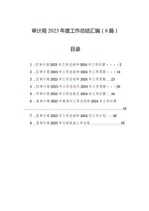审计局2023年度工作总结汇编（8篇）.docx