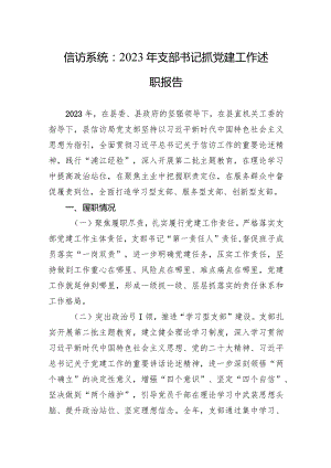 信访系统：2023年支部书记抓X建工作述职报告.docx