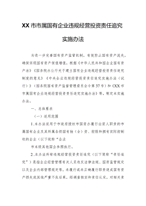 XX市市属国有企业违规经营投资责任追究实施办法.docx