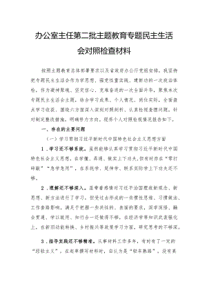 办公室主任第二批主题教育专题民主生活会对照检查材料.docx