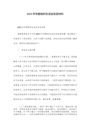 2023年专题组织生活会发言材料.docx