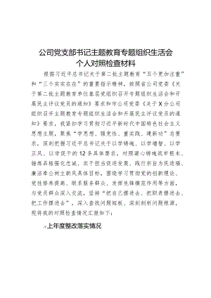 公司党支部书记主题教育专题组织生活会个人对照检查材料.docx