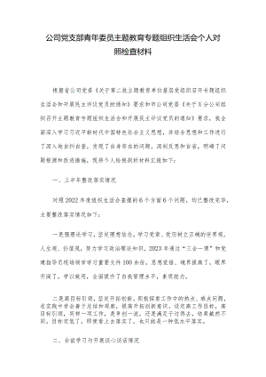 公司党支部青年委员主题教育专题组织生活会个人对照检查材料.docx