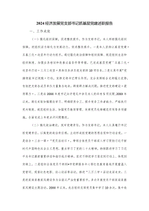 2024经济发展党支部书记抓基层党建述职报告.docx