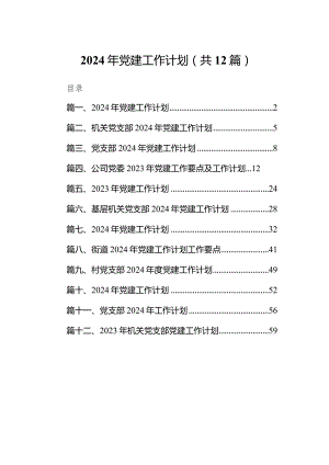 2024年党建工作计划12篇（完整版）.docx