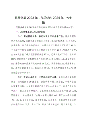 县经信局2023年工作总结和2024年工作安排.docx