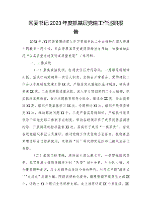 区委书记2023年度抓基层党建工作述职报告.docx