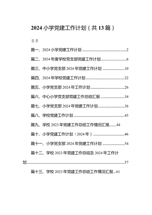 2024小学党建工作计划13篇（完整版）.docx
