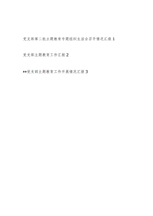 党支部2023-2024年度第二批专题组织生活会召开情况工作总结汇报3篇.docx