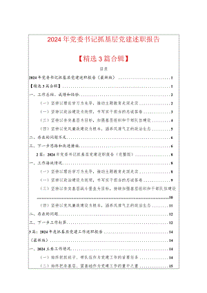 2024年党委书记抓基层党建述职报告（精选）.docx