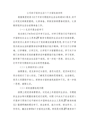 公司班子组织生活六个方面检查材料.docx