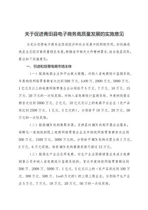 2024年《关于促进青田县电子商务高质量发展的实施意见》.docx
