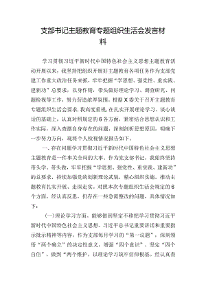 支部书记主题教育专题组织生活会发言材料.docx