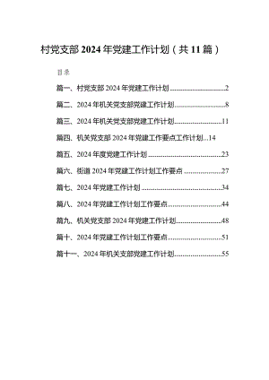 村党支部2024年党建工作计划11篇（详细版）.docx