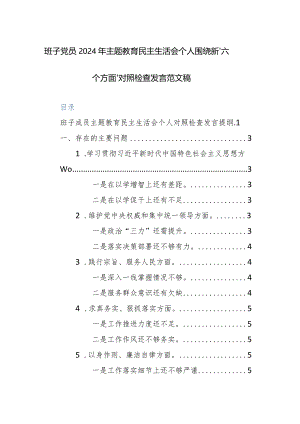 班子党员2024年主题教育民主生活会个人围绕新“六个方面”对照检查发言范文稿.docx
