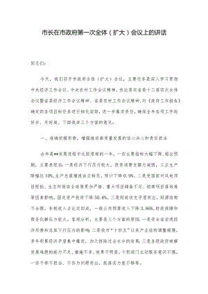 市长在市政府第一次全体（扩大）会议上的讲话.docx