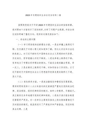 2023年专题组织生活会发言材料二篇.docx
