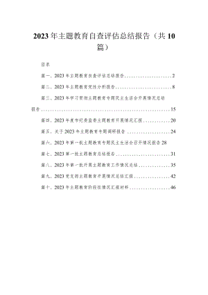 2023年专题自查评估总结报告（共10篇）.docx