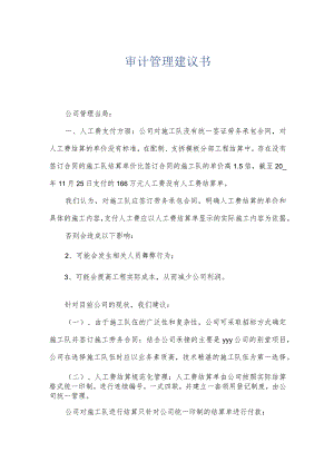 审计管理建议书.docx
