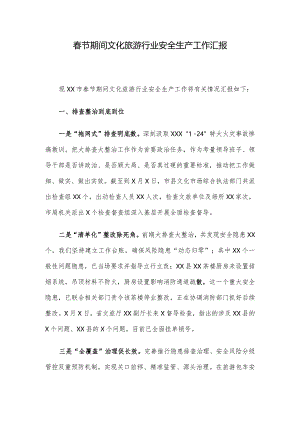 春节期间文化旅游行业安全生产工作汇报.docx
