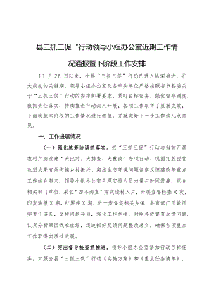县“三抓三促”行动领导小组办公室近期工作情况通报暨下阶段工作安排.docx
