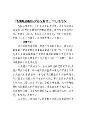 对县委巡视整改情况监督工作汇报范文.docx