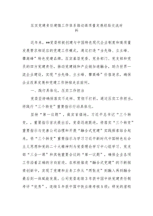 压实党建责任 建强工作体系 推动高质量发展经验交流材料.docx