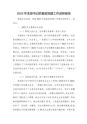 2023年支部书记抓基层党建工作述职报告.docx