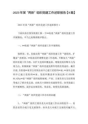 2023年某“两新”组织党建工作述职报告【9篇】.docx
