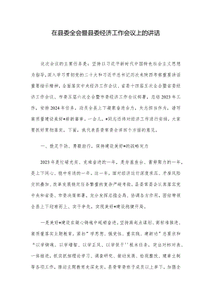 在县委全会暨县委经济工作会议上的讲话.docx