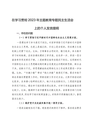 在学习贯彻2023年主题教育专题民主生活会上的个人发言提纲.docx