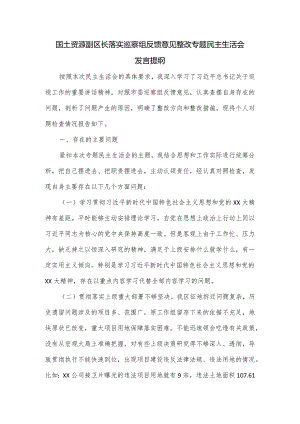 国土资源副区长落实巡察组反馈意见整改专题民主生活会发言提纲.docx